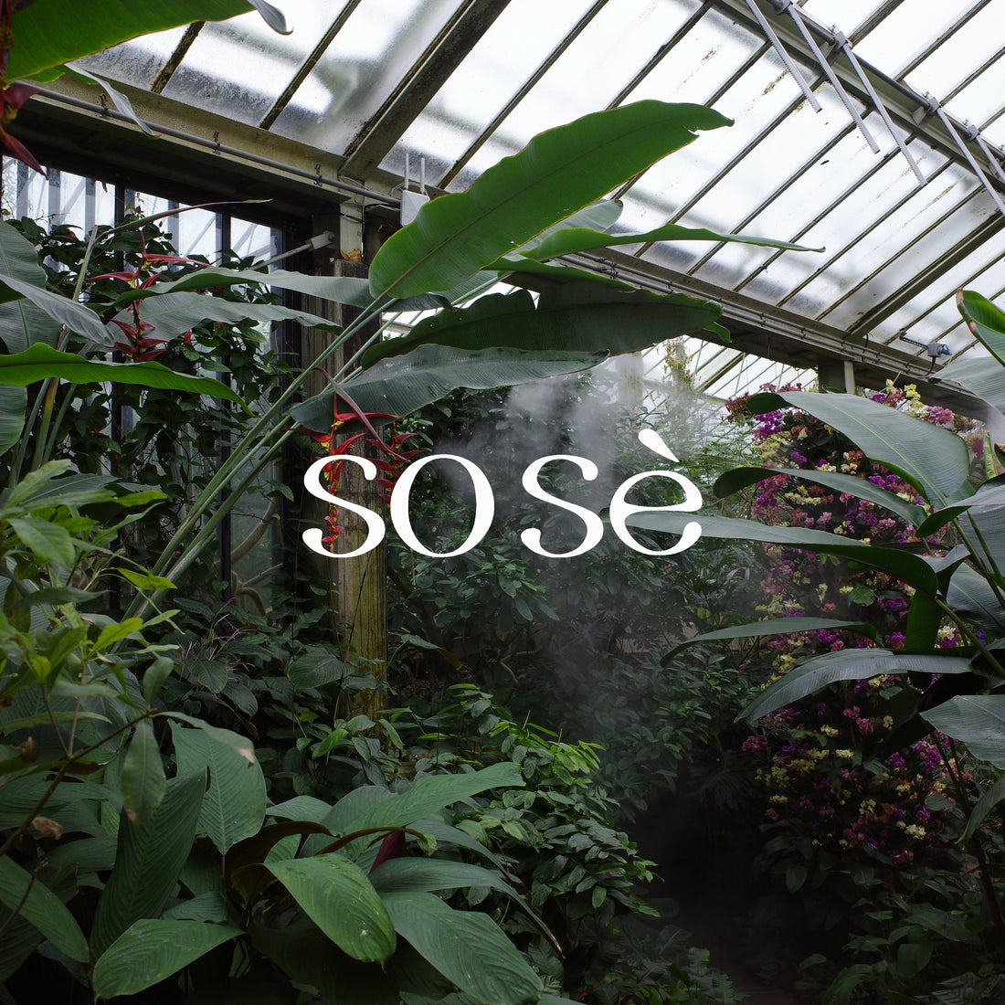 sose brand shooting