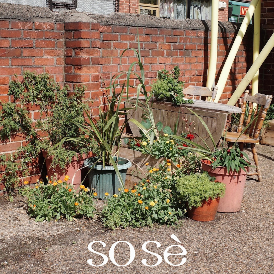 SoSè brand picture